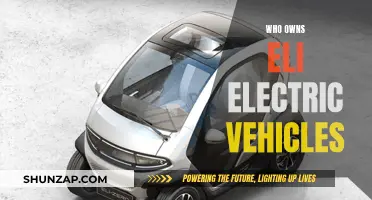 Unraveling the Mystery: Who Owns Eli Electric Vehicles?