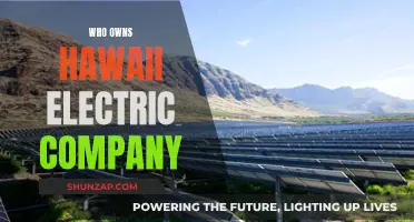 Unveiling the Ownership of Hawaii Electric Company: Who's in Charge?