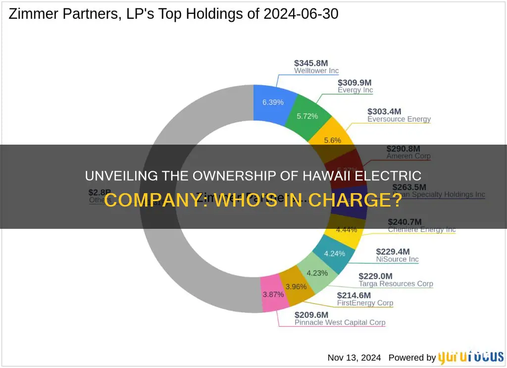 who owns hawaii electric company