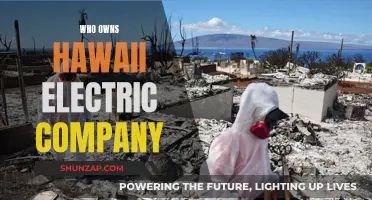 Hawaii Electric Company: Ownership and Control in the Island State