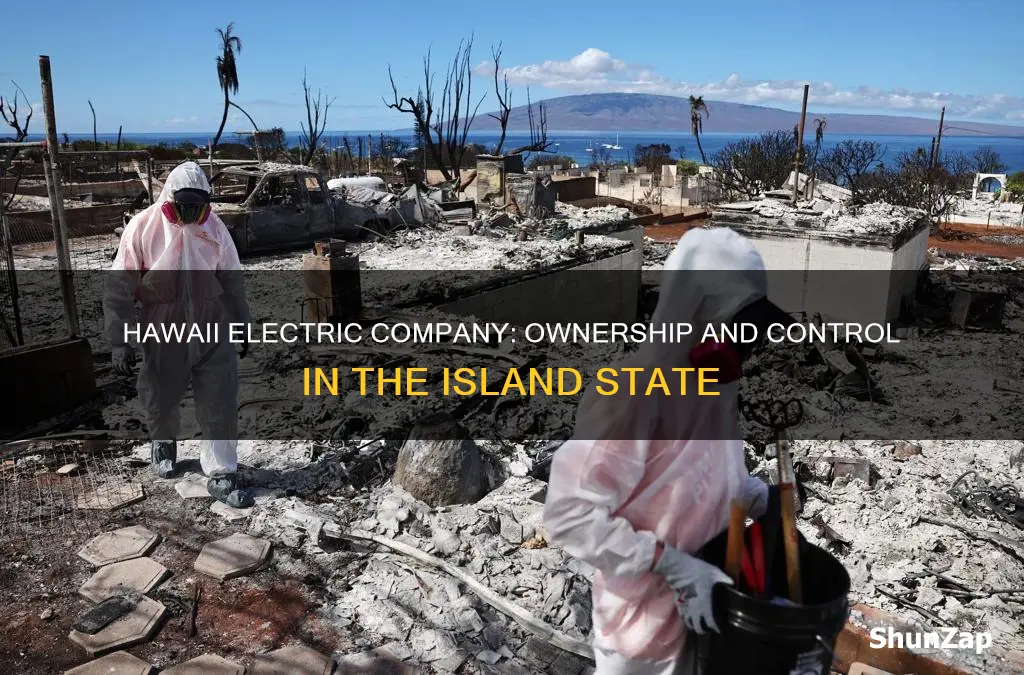 who owns hawaii electric company