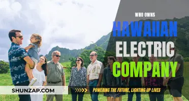 Who Really Owns Hawaiian Electric Company?