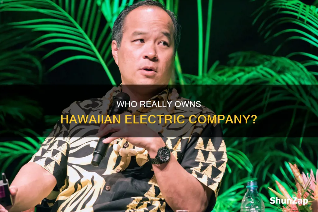 who owns hawaiian electric company