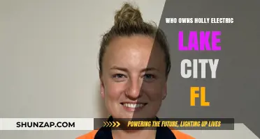 Who Really Owns Holly Electric Lake City, FL?