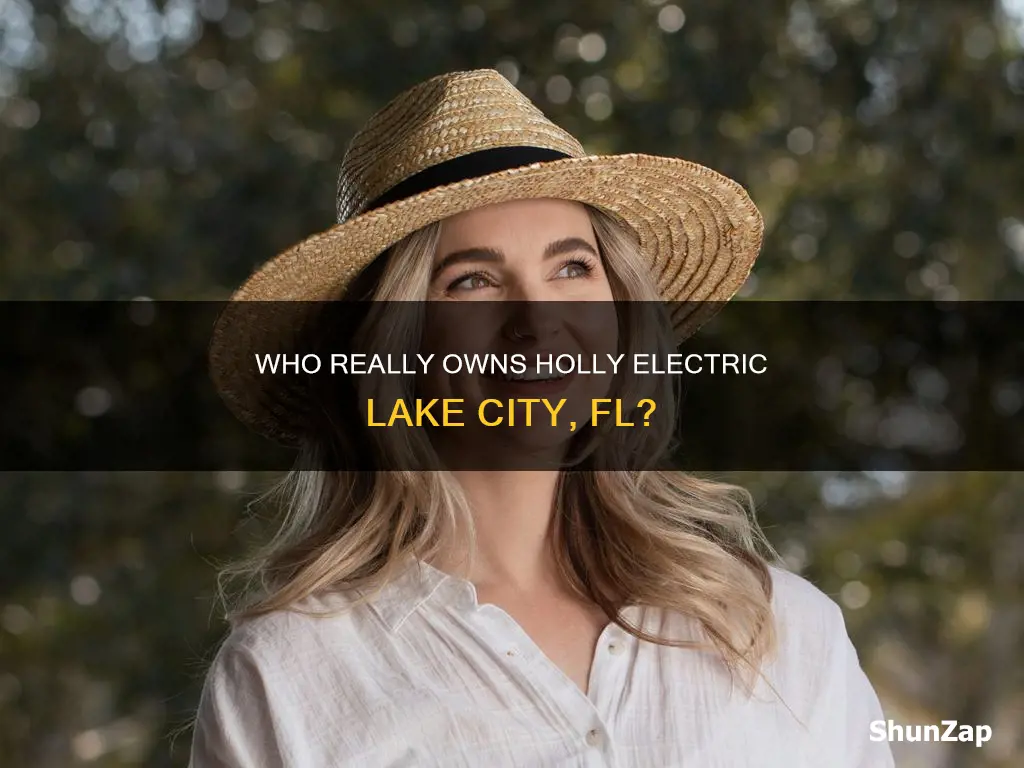 who owns holly electric lake city fl