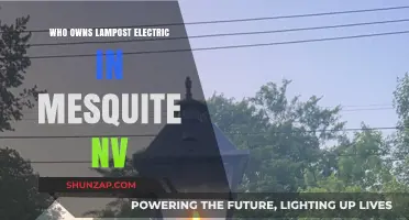 Lampost Electric: Who Owns the Mesquite, NV Business?