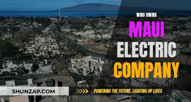Maui Electric Company: Ownership and Control