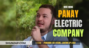 Panay Electric Company: Unveiling the Ownership Mystery