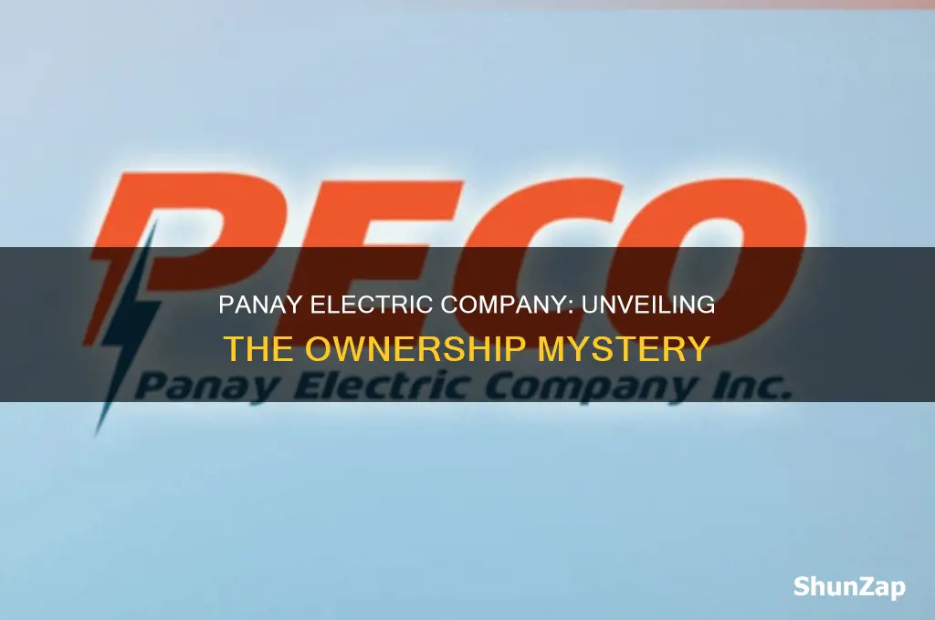 who owns panay electric company