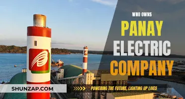 Who is Behind Panay Electric Company?