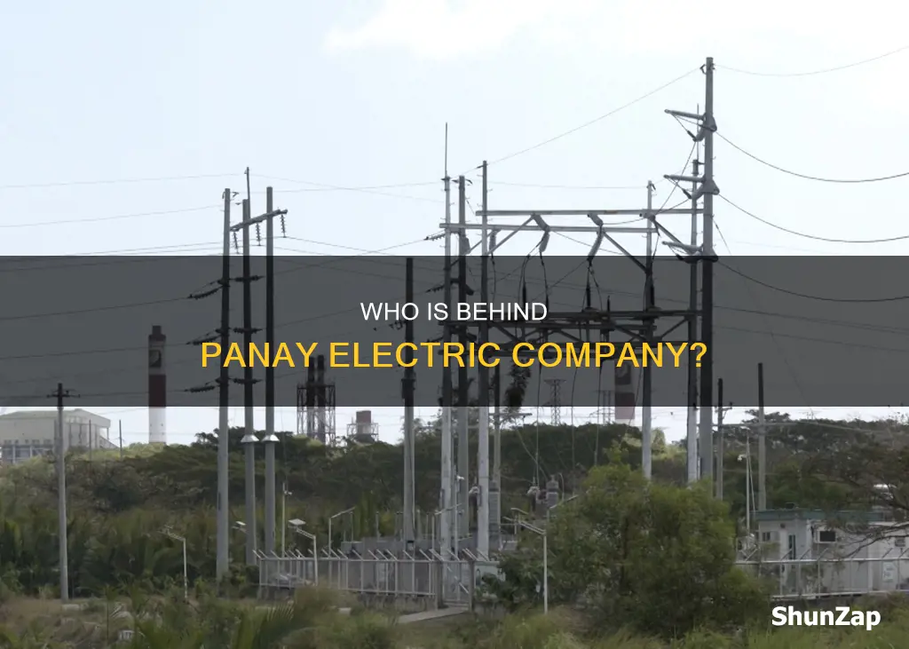 who owns panay electric company