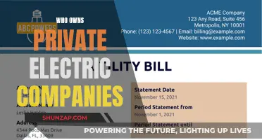 Unveiling the Hidden Owners of Private Electric Utilities