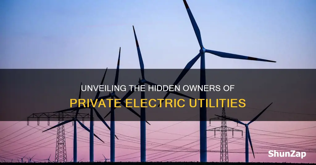 who owns private electric companies