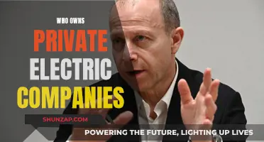 Who Really Owns Private Electric Companies?