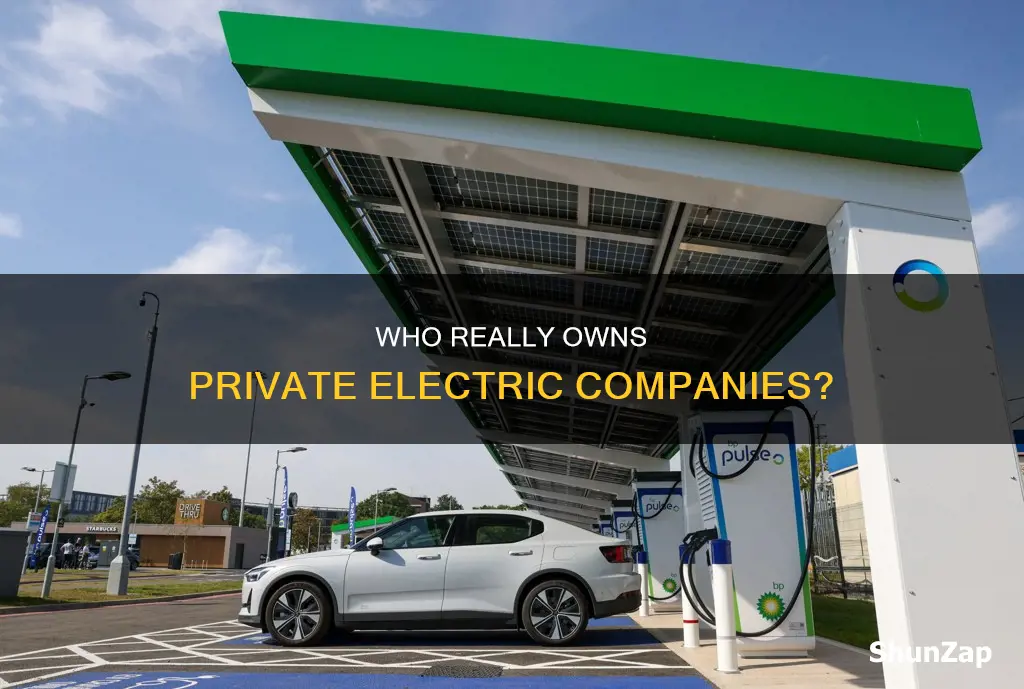 who owns private electric companies