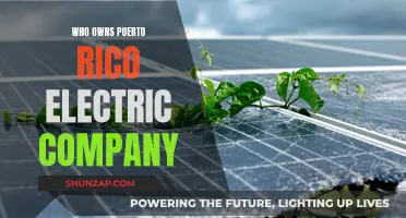 Puerto Rico Electric Company: Ownership and History