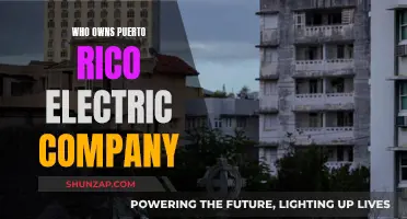 The Ownership of Puerto Rico's Electricity: A Private Affair?
