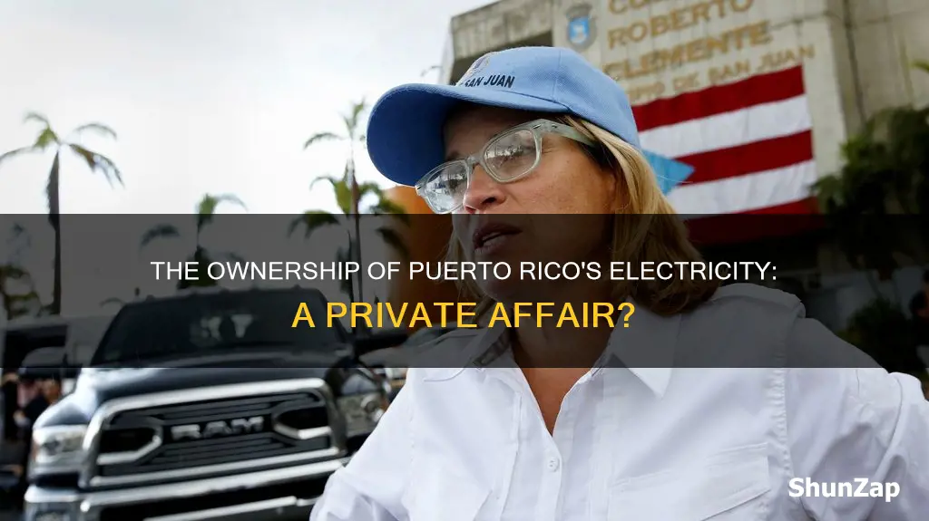 who owns puerto rico electric company