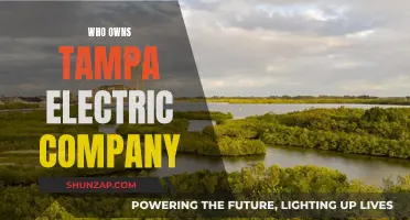 Unveiling the Owner of Tampa Electric Company: A Corporate Journey