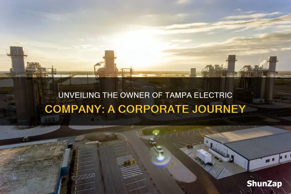 who owns tampa electric company