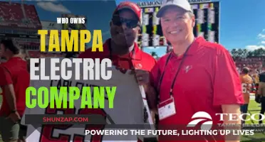 Who Really Owns Tampa Electric Company?