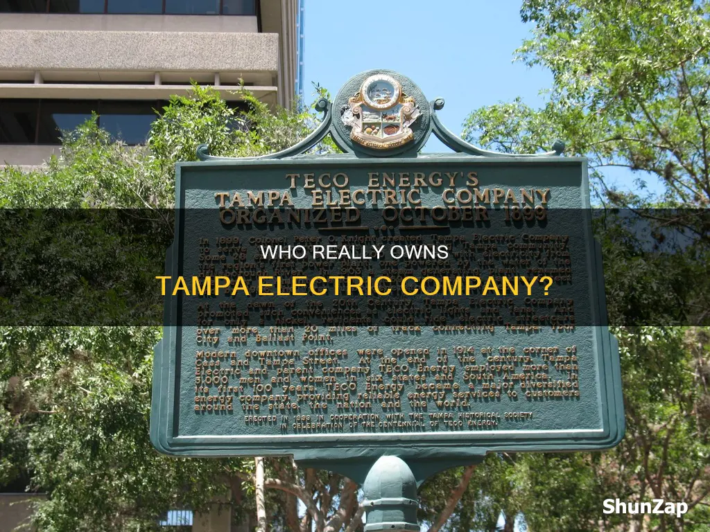who owns tampa electric company