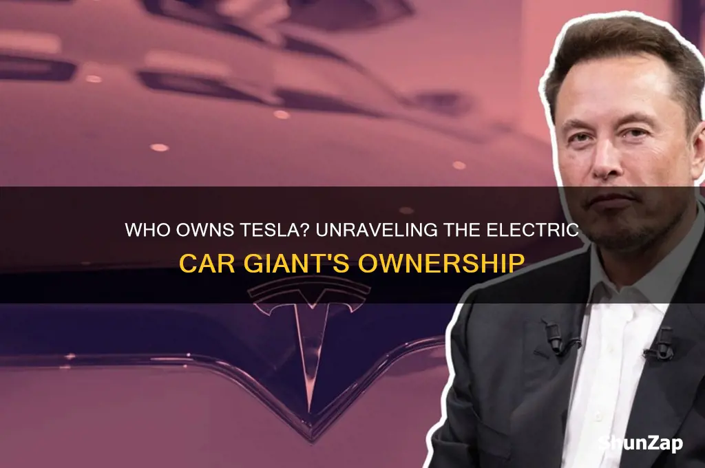 who owns tesla electric car