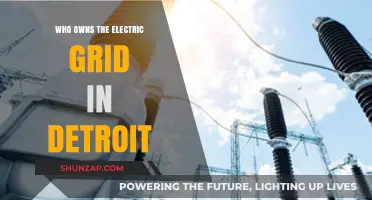 Detroit's Electric Grid: Who Owns the Power?