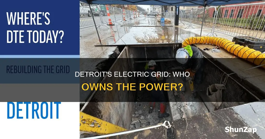 who owns the electric grid in detroit
