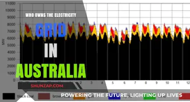Electricity Grid: Australia's Ownership and Control