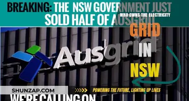 Electricity Grid Control in NSW: Who Owns the Power?