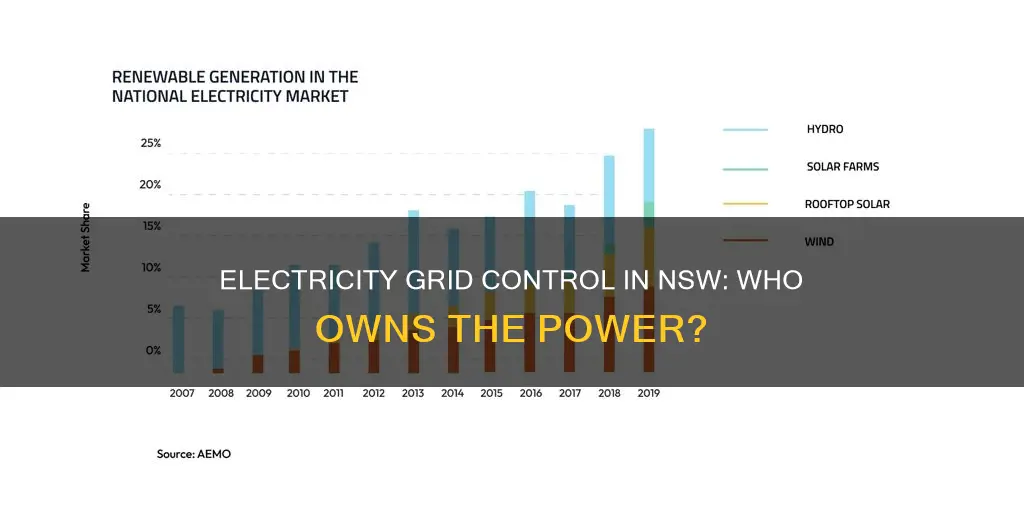 who owns the electricity grid in nsw