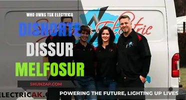 Electrica Ownership: Unraveling the TSK, Dissur, and Melfosur Mystery