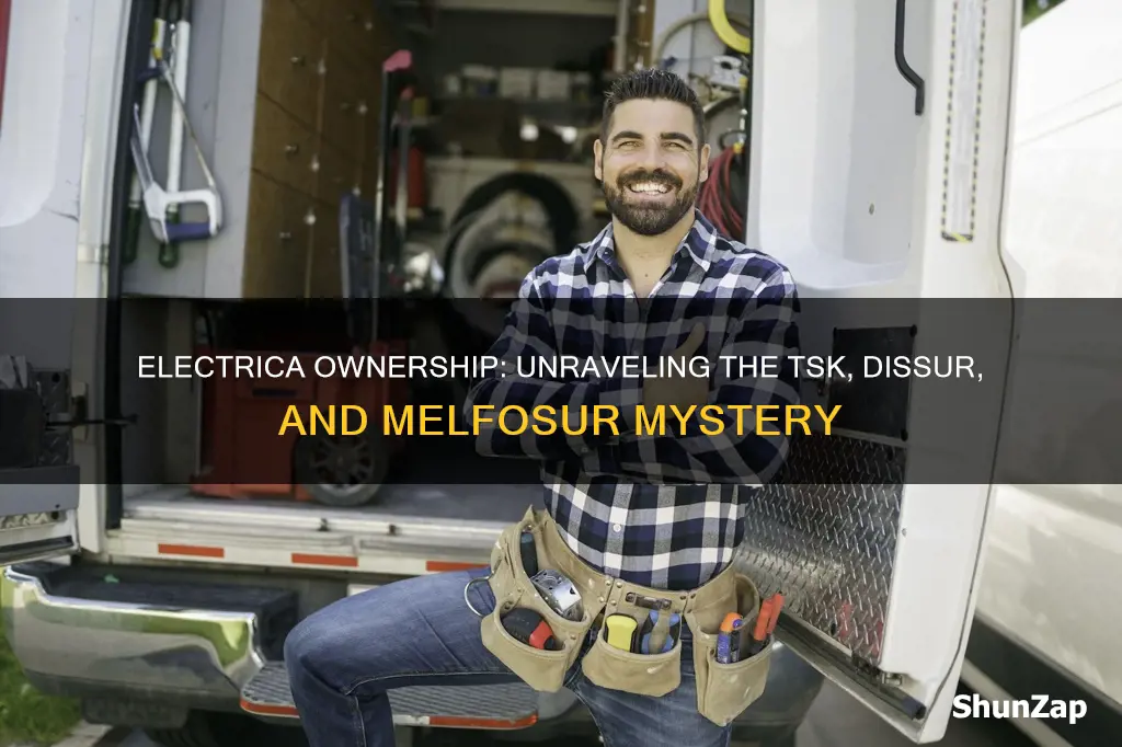 who owns tsk electrica disnorte dissur melfosur