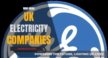 Who Controls the UK's Power Supply?
