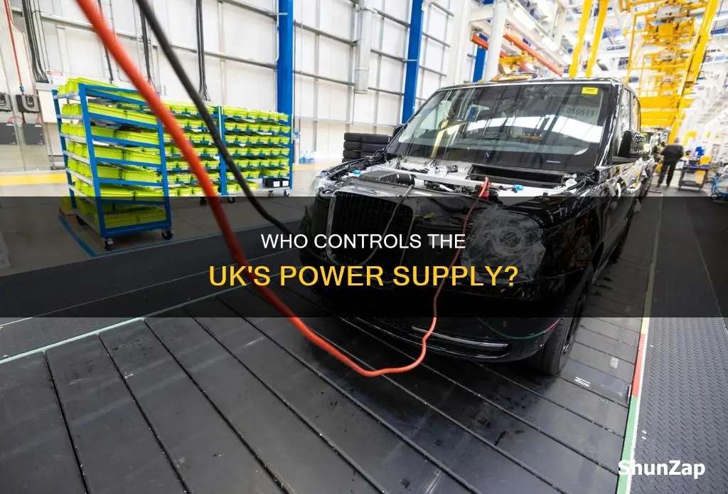 who owns uk electricity companies
