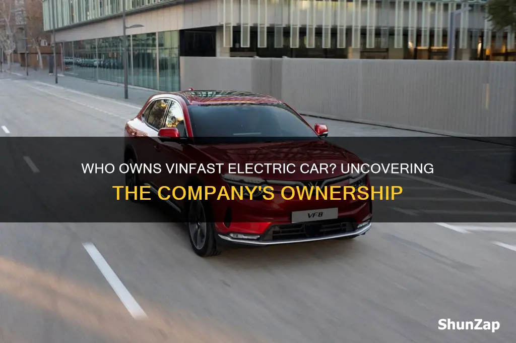 who owns vinfast electric car