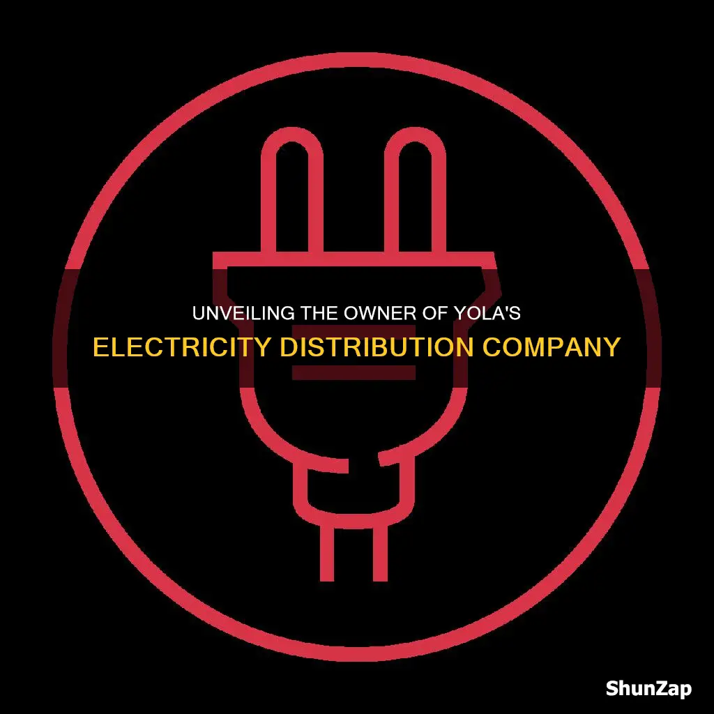 who owns yola electricity distribution company