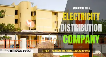 Yola Electricity Distribution Company: Ownership and Control
