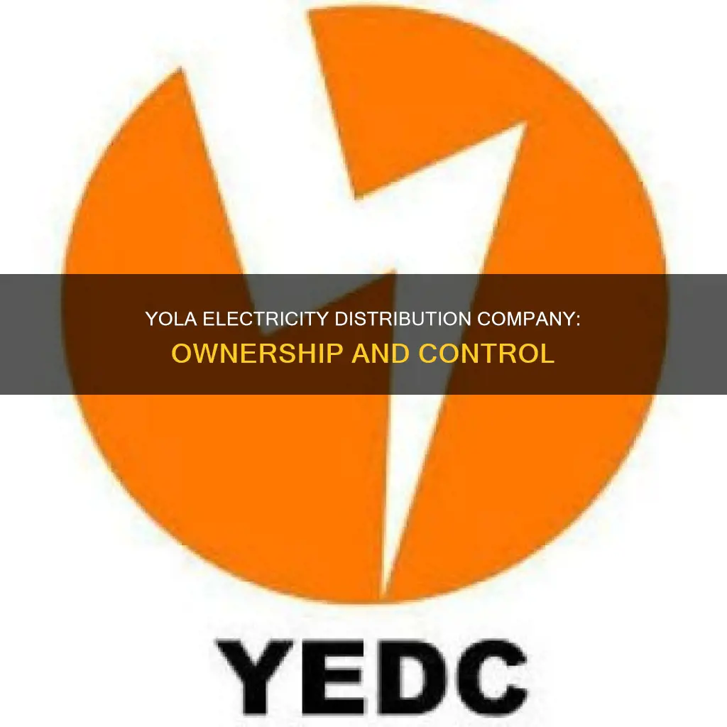 who owns yola electricity distribution company