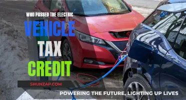 Electric Vehicle Tax Credit: Who Gets the Green Light?