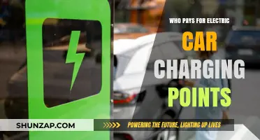 Who Bears the Cost of Electric Car Charging Stations?