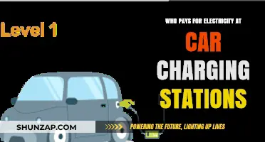Who Bears the Cost of Charging Electric Vehicles at Stations?