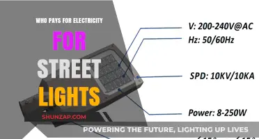 Who Foots the Bill for Street Lights?