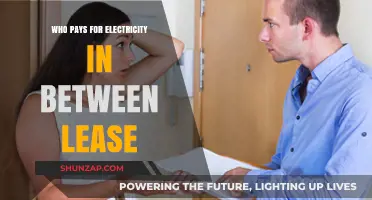Electricity Costs: Who Pays in a Lease?