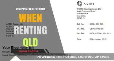 Understanding Rental Electricity Costs in Queensland