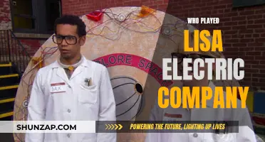 Who Was the Actress Playing Lisa on Electric Company?
