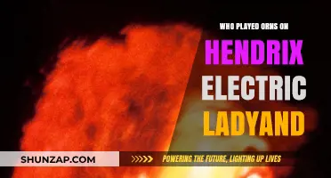 The Bassist on Electric Ladyland: Noel Redding's Legacy