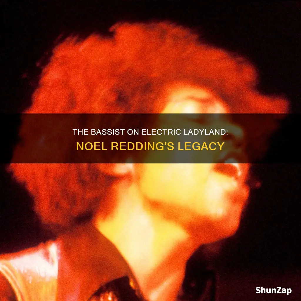 who played orns on hendrix electric ladyand