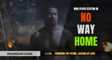 Who is Electro in No Way Home?